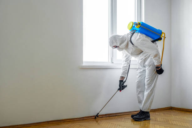 Best Residential Pest Control  in Pinckney, MI